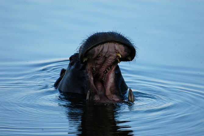 13 Days Best Of Zimbabwe - Victoria Falls and the Zambezi on days 1 and 2