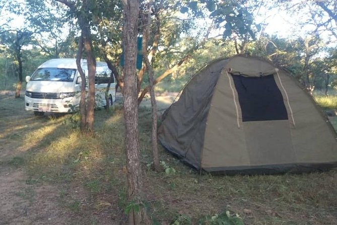 13 Days Best Of Zimbabwe - Another open afternoon on day 9