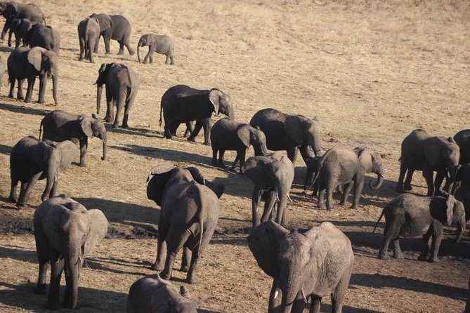2-Day Camping Safari in Chobe National Park from Victoria Falls - A tented camp with more comfort than rough camping