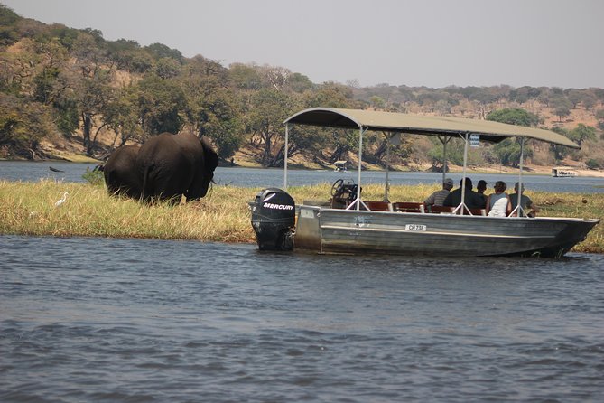 2-Day Camping Safari in Chobe National Park from Victoria Falls - Is $525 a fair price?