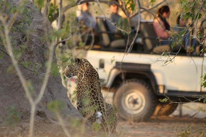 2-Day Camping Safari in Chobe National Park from Victoria Falls - Booking and cancellation details