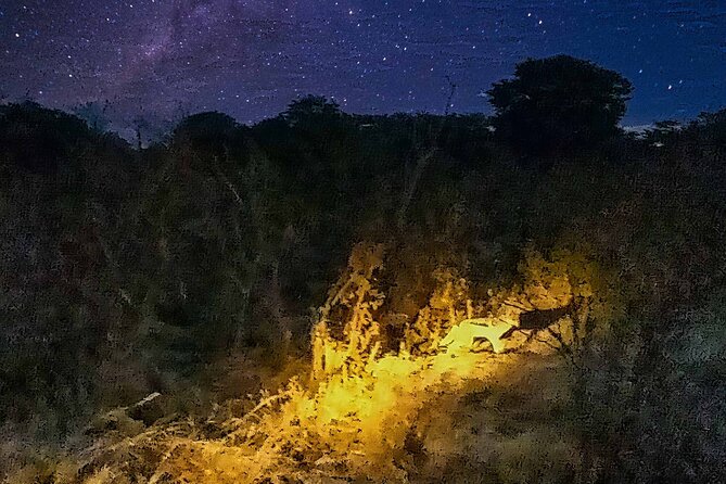 2 Hour Stargazing Tour in Victoria Falls NP Area in 4x4 - The second hour around Zambezi National Park
