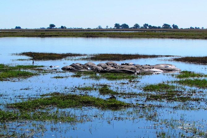 3 Day Chobe National Park Camping Safari - Why three days in Chobe makes sense