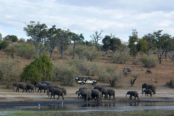 3 Day Chobe National Park Camping Safari - Day three: leaving Botswana by way of the crocodile farm