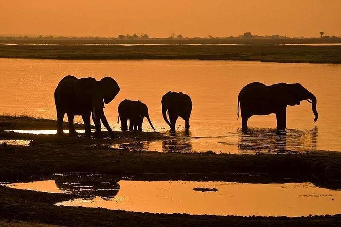 3 Day Chobe National Park Camping Tour - Chobe from Victoria Falls, with the river at the center