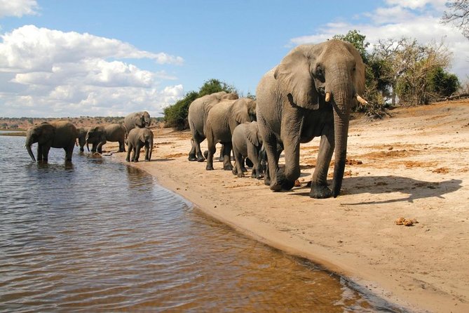 3 Day Chobe National Park Camping Tour - Meals and the daily safari rhythm