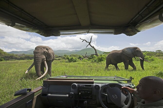 3-Day Victoria Falls Safari with Dinner Cruise - What the $850 price really covers