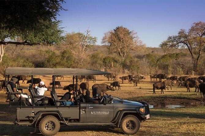 3-Day Victoria Falls Safari with Dinner Cruise - Group size, timing, and comfort