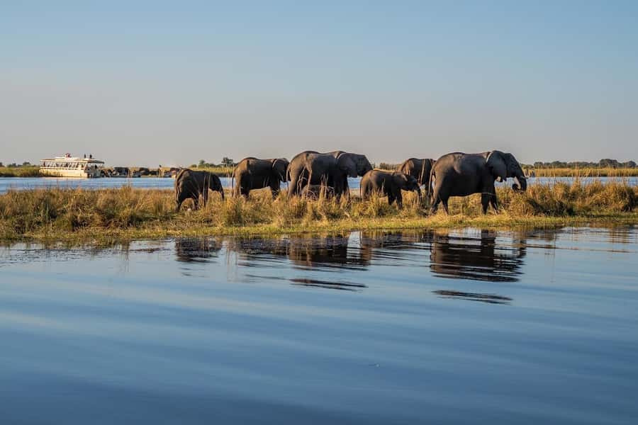 3 Days Explore Zambia, Zimbabwe and Chobe Park in Botswana - Day 2: Mukuni Village and Zimbabwe’s wider views