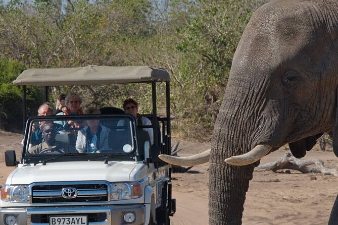 3 Days in Victoria Falls & Chobe National Park Combo - Lunch above Batoka Gorge