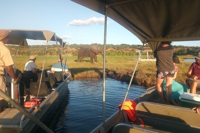 4-Day Discover Victoria Falls, Chobe and Hwange Park - Day four: a short final stop before departure