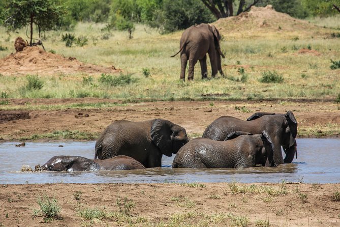 4-Day Discover Victoria Falls, Chobe and Hwange Park - Guide support and the small-group advantage