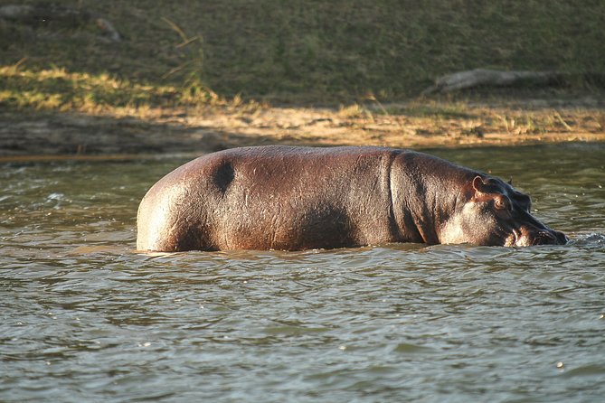 4-Day Discover Victoria Falls, Chobe and Hwange Park - The main drawbacks to weigh