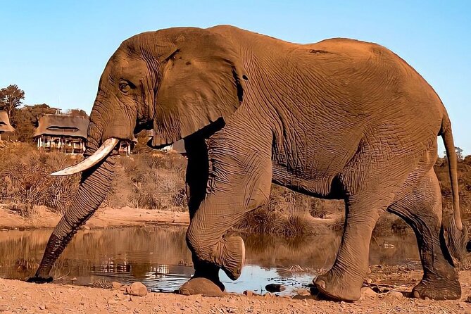 4 Days Victoria Falls Safari Tour & Chobe National Park game drive - The pace, transport, and group arrangement