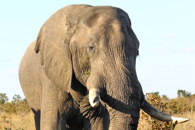 4 Days Victoria Falls Safari Tour & Chobe National Park game drive - Day 2: A 6:00 a.m. start and three views of the falls