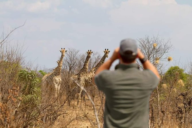 4 Days Victoria Falls Zimbabwe with Chobe National Park Safari Botswana and Livingstone Zambia - A 15-minute helicopter flight over the falls
