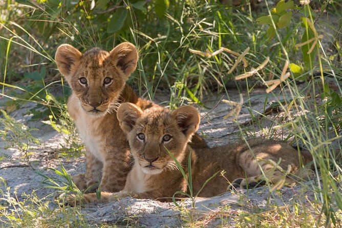 4 Days Victoria Falls Zimbabwe with Chobe National Park Safari Botswana and Livingstone Zambia - Victoria Falls from ground level