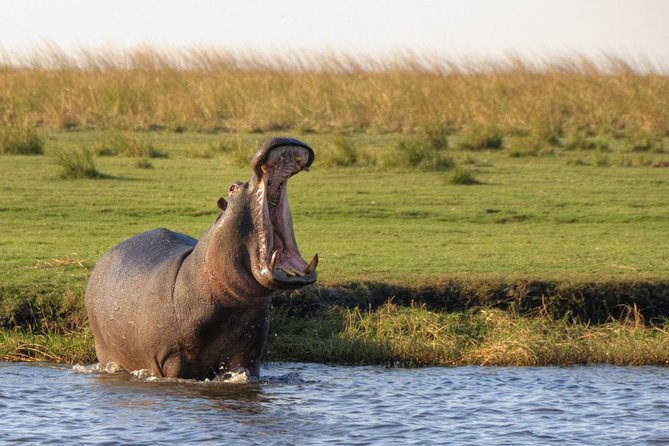 5-DAY Victoria Falls and Chobe National Park - Key points at a glance