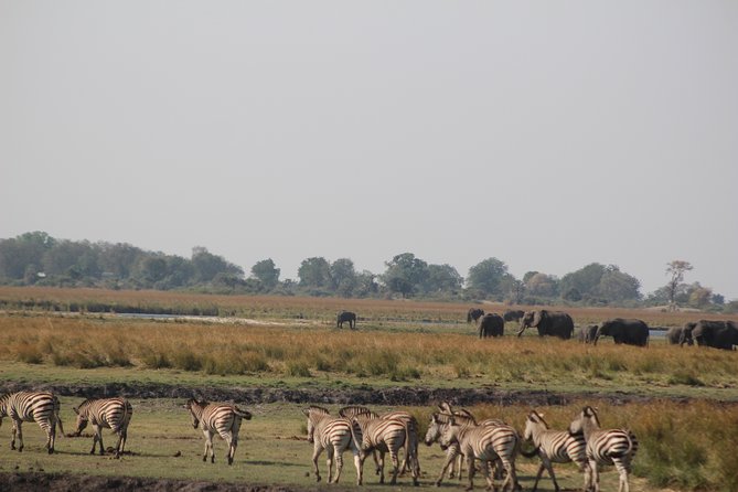 5-DAY Victoria Falls and Chobe National Park - Day 1: A soft landing with the Zambezi at sunset