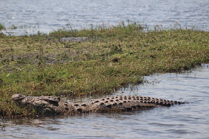 5-DAY Victoria Falls and Chobe National Park - Day 4: Use your free day to add one big adventure