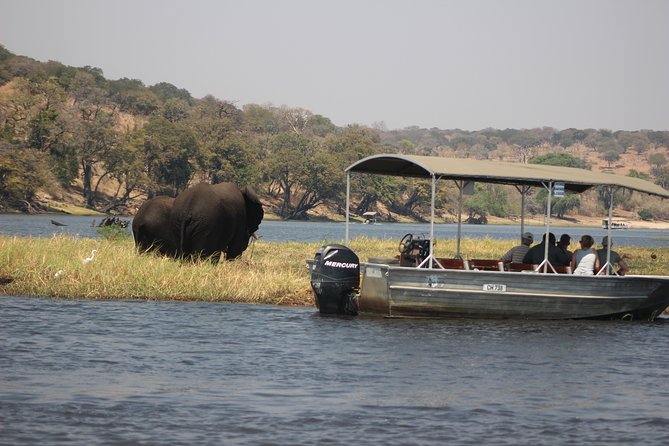5-DAY Victoria Falls and Chobe National Park - Day 5: A slow morning before your airport transfer