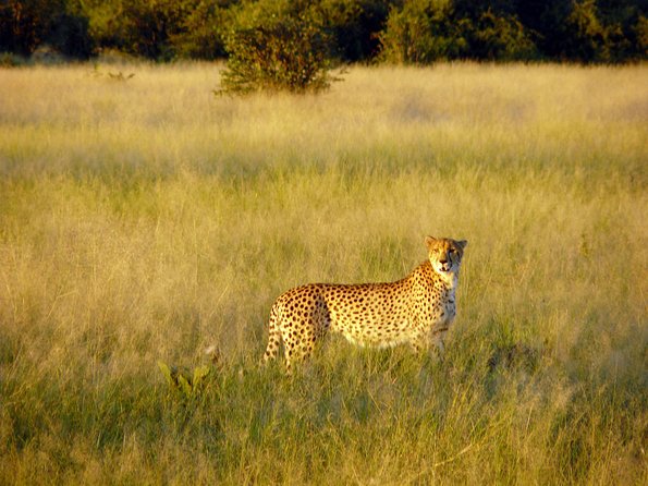 5 Day Victoria Falls and Chobe National Park Camping Tour - The personal service factor