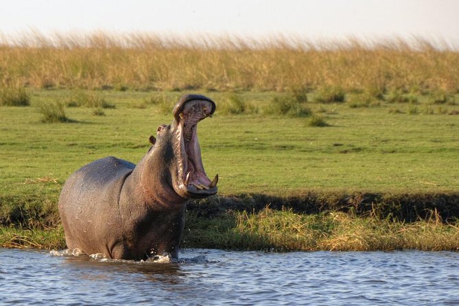 5 Day Victoria Falls and Chobe National Park Luxury Accommodated Tour - Day two: walking into the falls rainforest