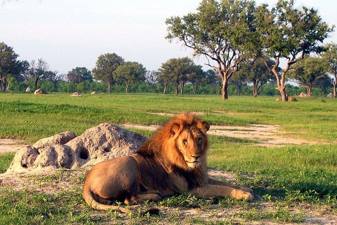 5 Day Victoria Falls and Hwange National Park Accommodated Safari Tour - Day 5: Three final hours in a peaceful park