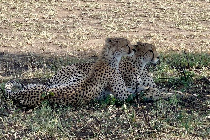 5-Day Visit Zimbabwe, Zambia, Botswana & Namibia Island - Why this five-day route works