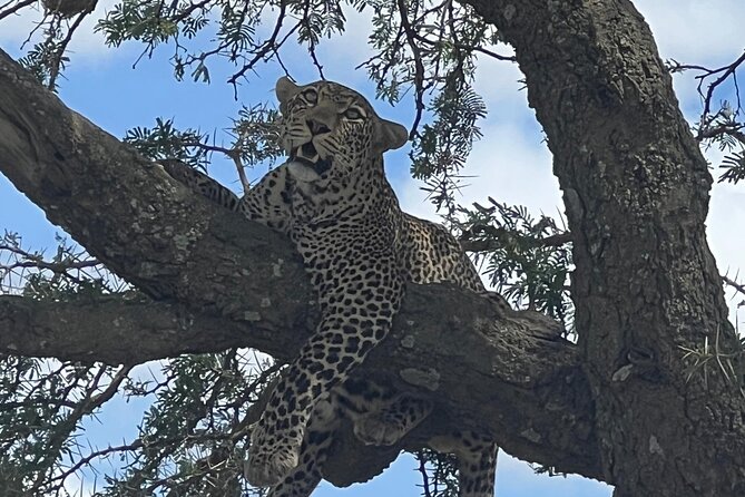 5-Day Visit Zimbabwe, Zambia, Botswana & Namibia Island - Day two: seeing Victoria Falls from Zimbabwe and Zambia