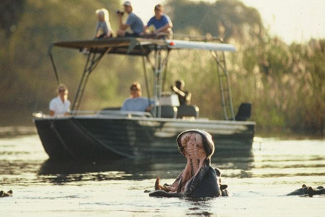 6-day Hwange, Chobe & Victoria Falls Combo - Day one: From Victoria Falls Airport to Hwange