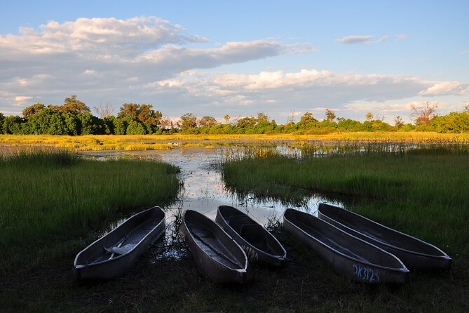 6 Days Victoria Falls Chobe Wildlife and Okavango Delta Tour - Key points to know before booking