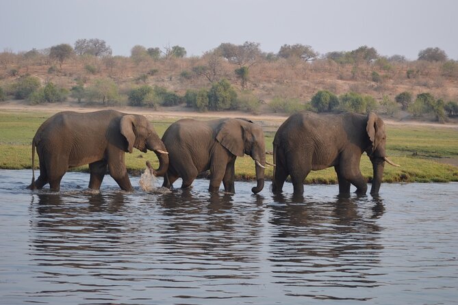 6 Days Victoria Falls Chobe Wildlife and Okavango Delta Tour - Day 3: The long road to Makgadikgadi Salt Pan