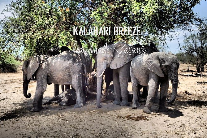 7 Day Highlights Of Botswana Overland Tour – ACCOMODATED (midrange) - Day 5: The road to Maun