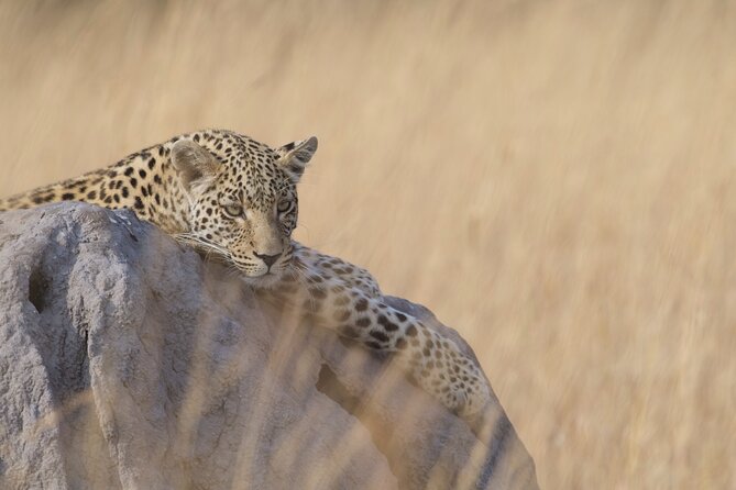 8 Day Chobe NP, Elephant Sands, Okavango Delta & Victoria Falls - Seeing the falls from Zimbabwe and Zambia