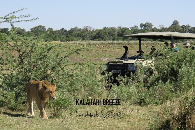 8 Day Highlights Of Botswana & Victoria Falls Overland Tour - Day 3: Chobe by open 4x4, then elephants at Elephant Sands
