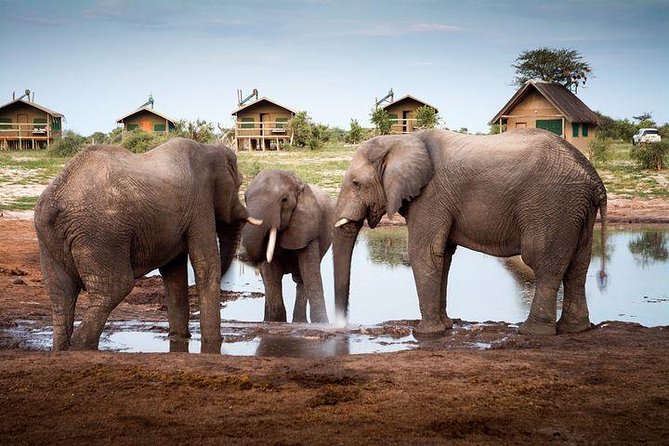 8 Day Highlights Of Botswana & Victoria Falls Overland Tour - Days 6 and 7: Two full days in the Okavango Delta