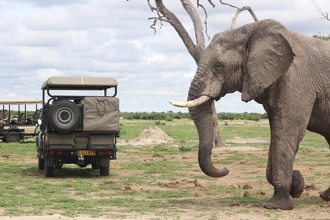 A 2 Day Victoria Falls & Chobe Safari Combo - A relaxed Zambezi cruise at sunset