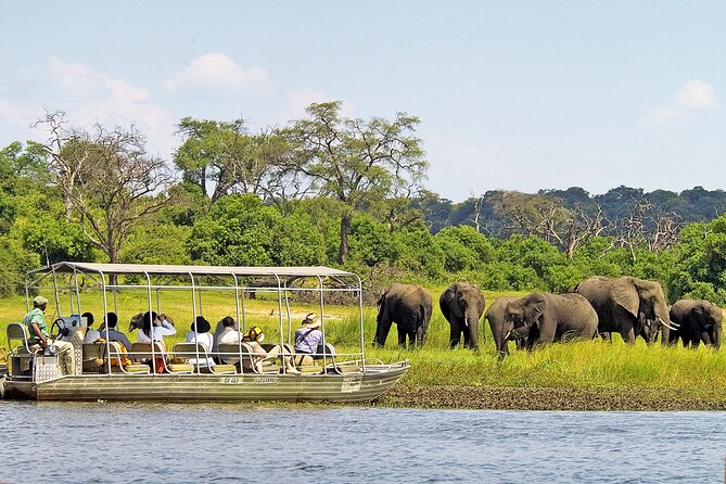 A 2 Day Victoria Falls & Chobe Safari Combo - Group size, transport, and practical comfort