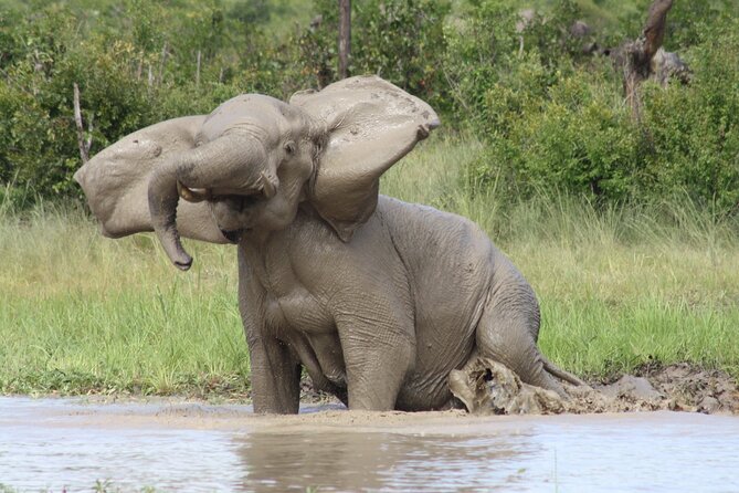 Adrenaline Jet Boat Safari in Victoria Falls - Zambezi National Park from the water