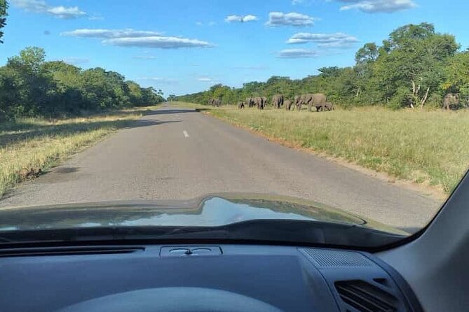 Airport, Hotel and local transfers in Victoria Falls - What the $19 price gives you