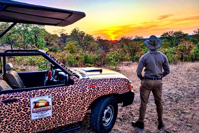 Baobab-Sunrise-Sunset-Vulture-Moonlight Safaris, 4 Options - Four options, four different moods