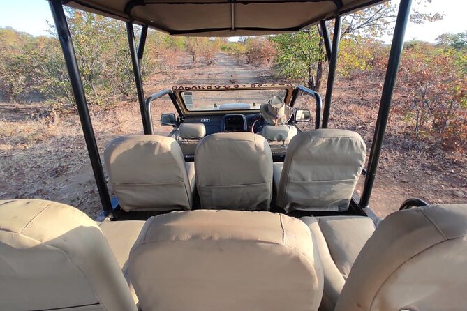 Baobab-Sunrise-Sunset-Vulture-Moonlight Safaris, 4 Options - What the guide adds to the short route