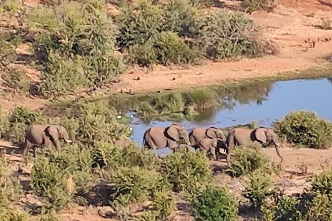 Baobab-Sunrise-Sunset-Vulture-Moonlight Safaris, 4 Options - Is $80 a fair price?