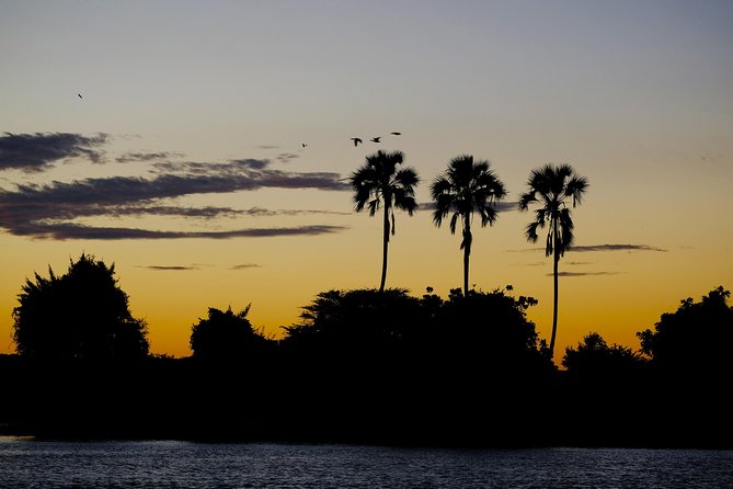 Birdwatching Cruise in Zambezi River with Breakfast - Using the birding booklet and your own binoculars