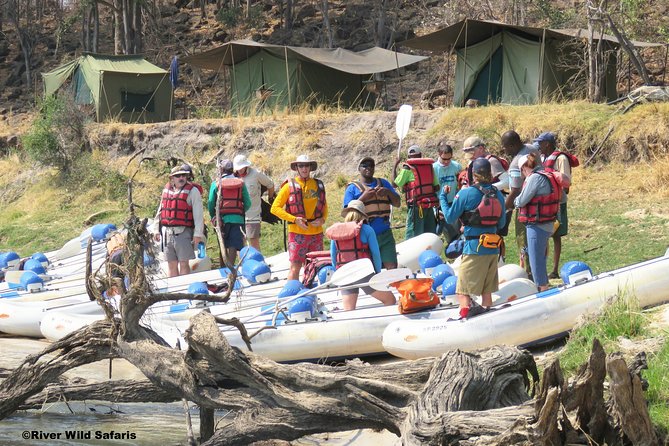 Canoeing Upper Zambezi 1 Day - River Wild Safaris - Key points to know before you book