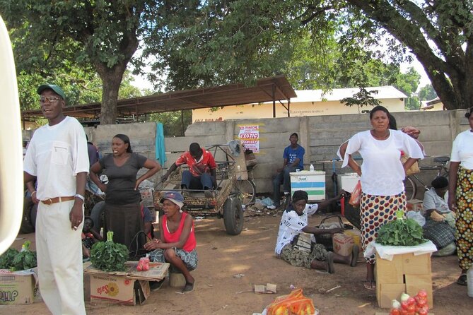 Chinotimba Township Tour (Zimbabwe) - Should you book the Chinotimba Township Tour?