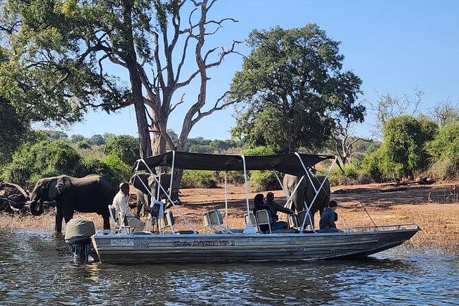 Chobe Botswana Day Trip River and Land Safari from Victoria Falls - Key points to know before booking