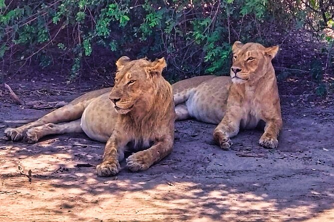 Chobe Botswana Day Trip River and Land Safari from Victoria Falls - What the $195 price really includes