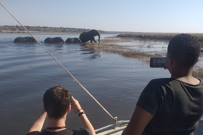 Chobe Botswana Full-Day Trip - Lunch in Botswana at about noon